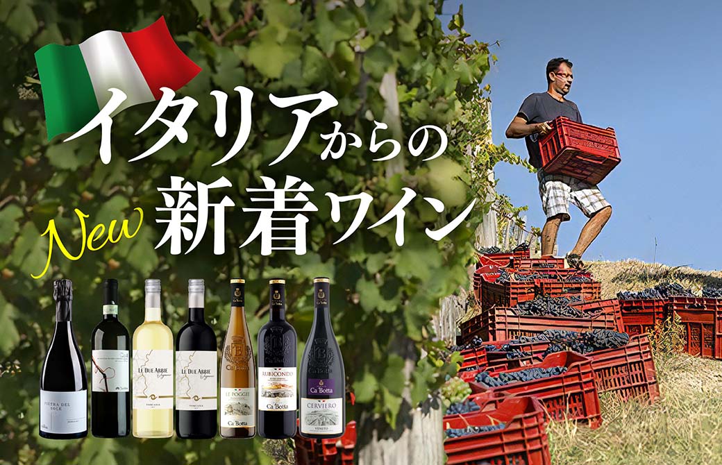 イタリアからの新着ワイン