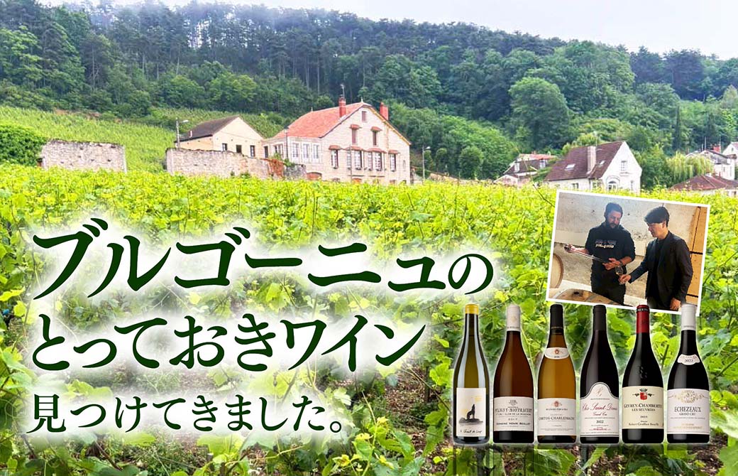 メインバナー