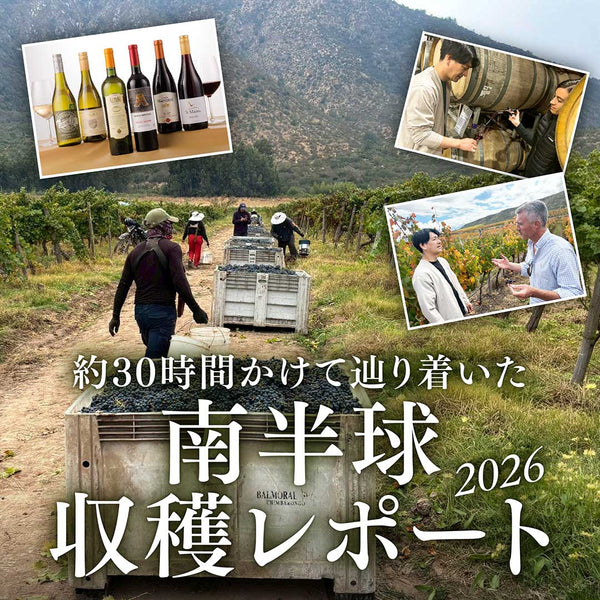 南半球収穫レポート