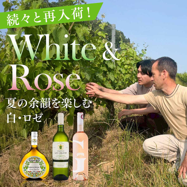 蔵直便が続々到着！再入荷白＆ロゼワイン