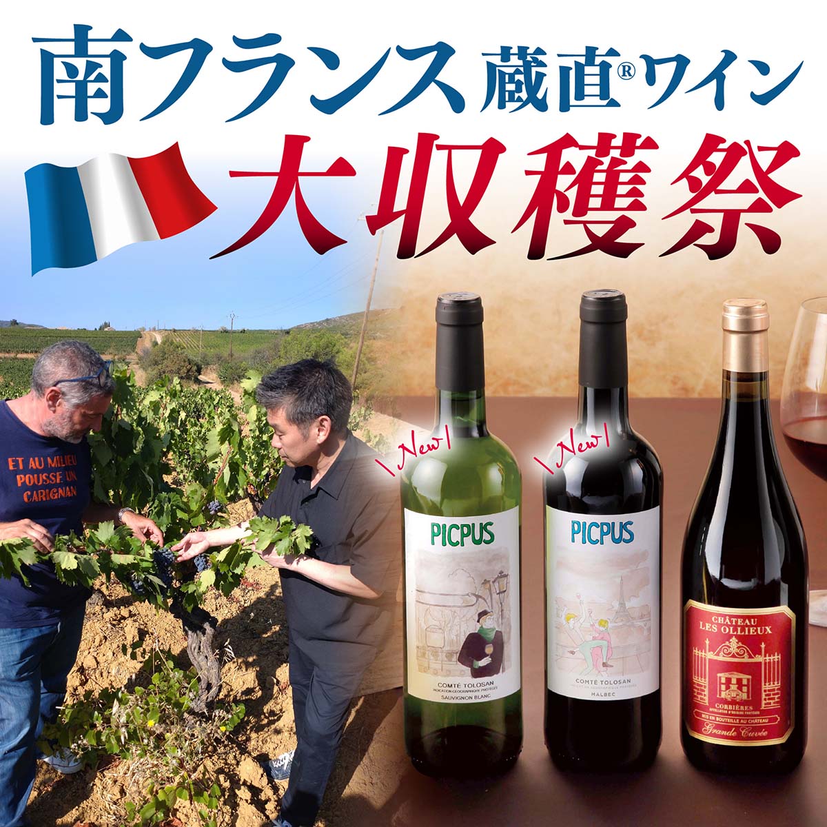 ワイン通販｜ワイン専門店 - ヴィノスやまざき