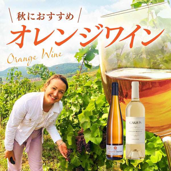 秋におすすめ！ヴィノスのオレンジワイン