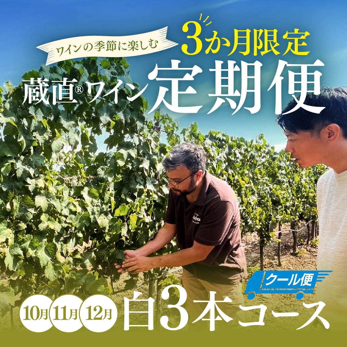 【WEB限定・3か月定期便】白3本コース_クール便