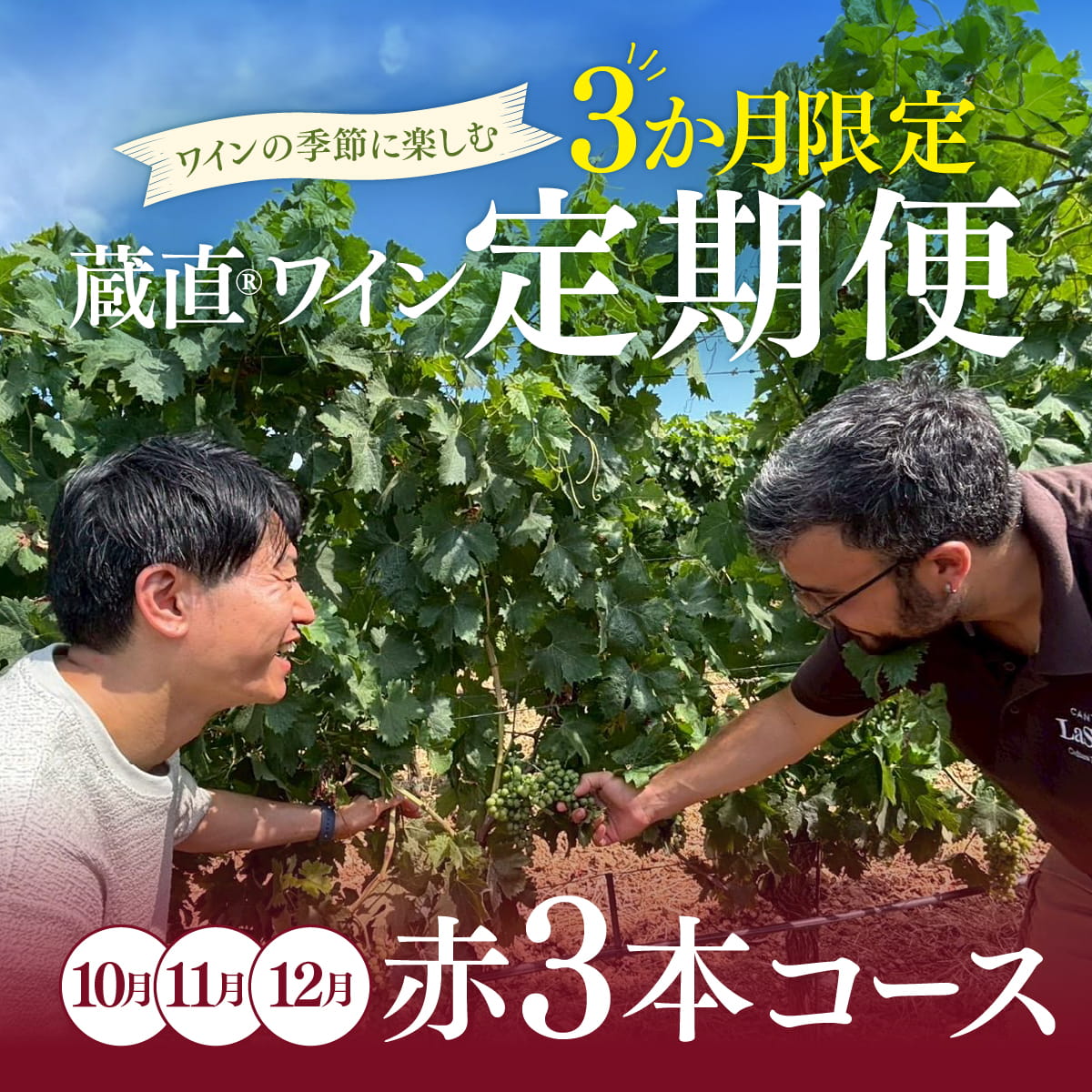 【WEB限定・3か月定期便】赤3本コース_通常便