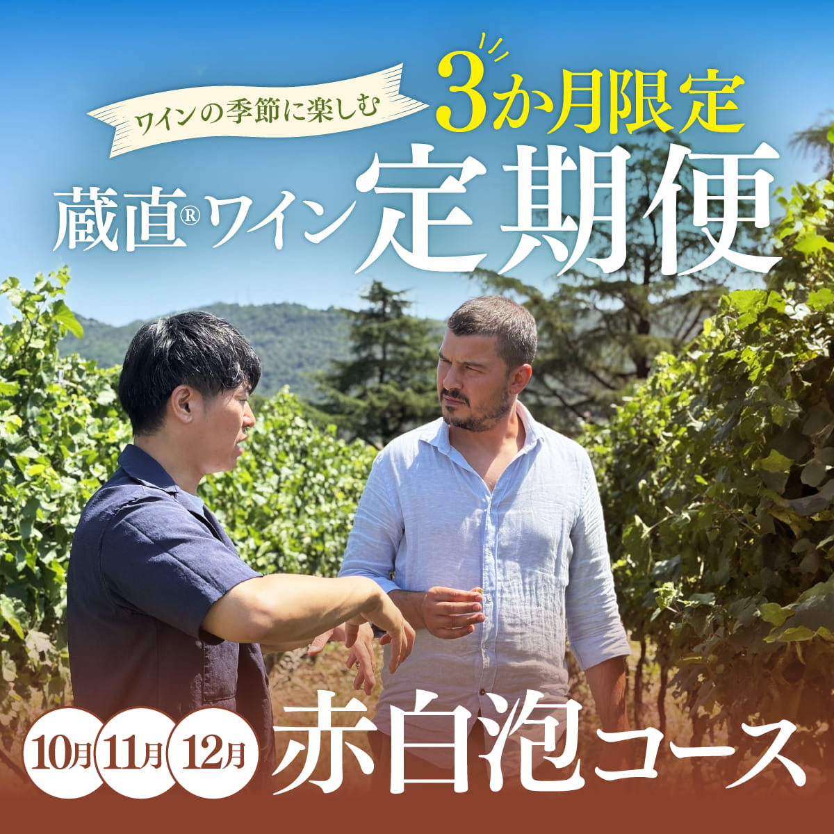 【WEB限定・3か月定期便】赤白泡コース_通常便