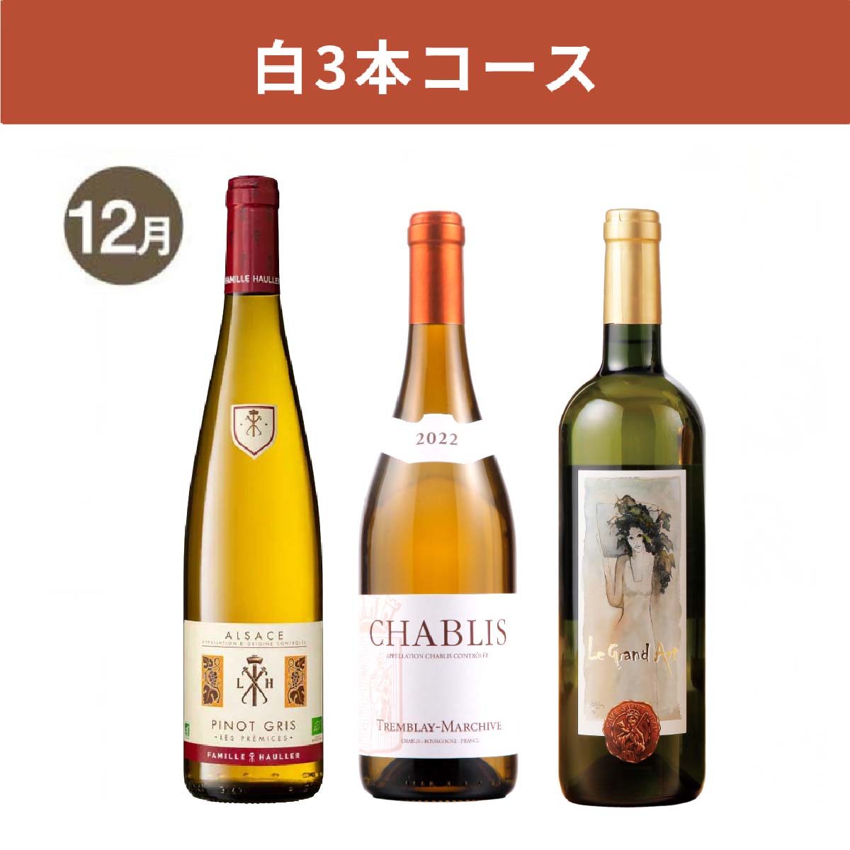 【WEB限定・3か月定期便】白3本コース_通常便