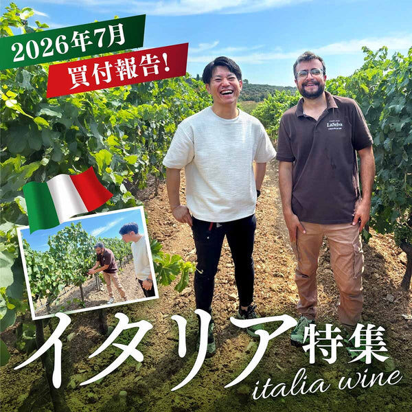 イタリア買付報告！真夏のイタリアを訪問！注目蔵元をご紹介！