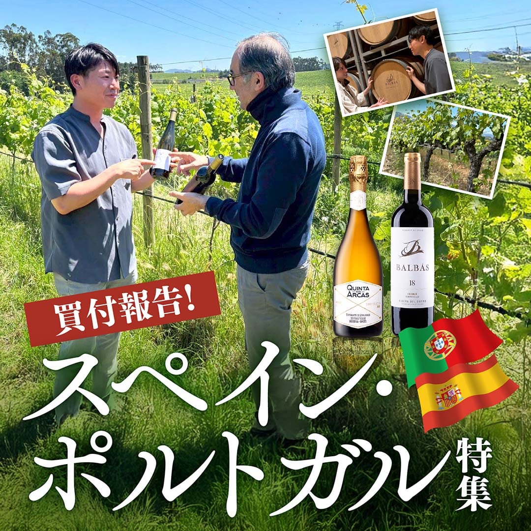 特集バナー