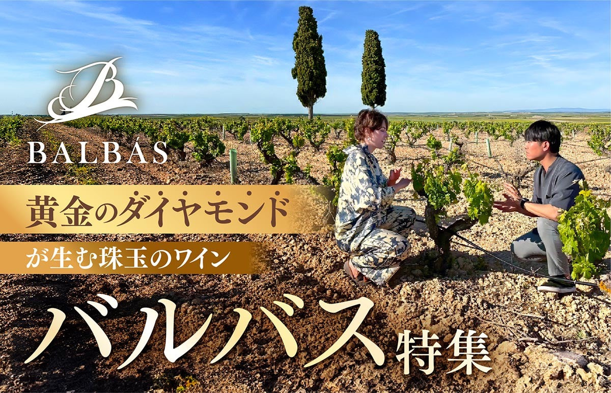 メインバナー