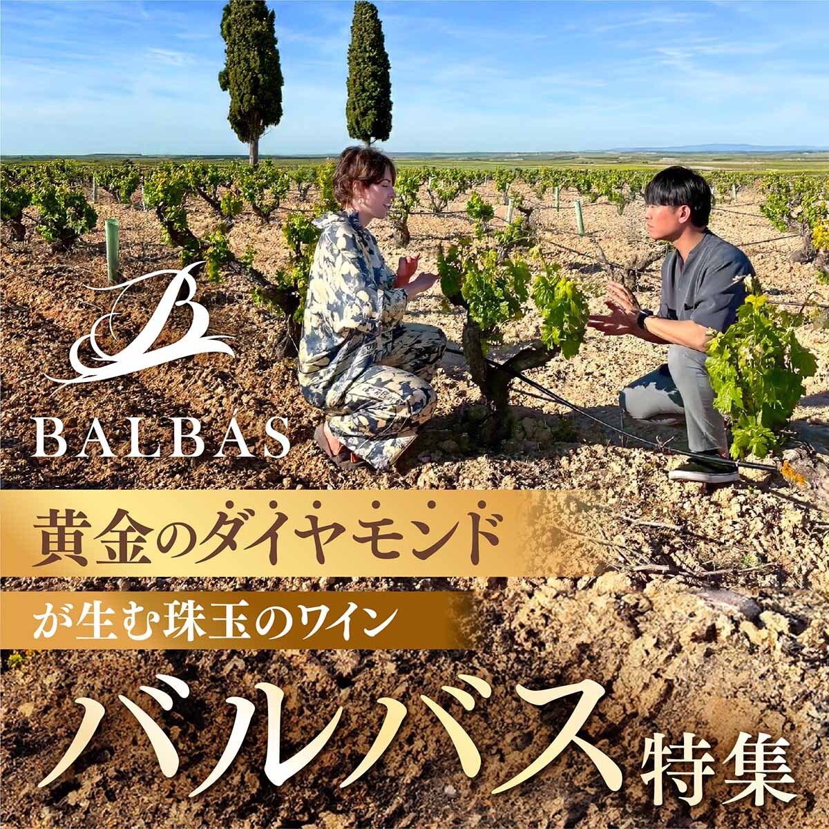特集バナー