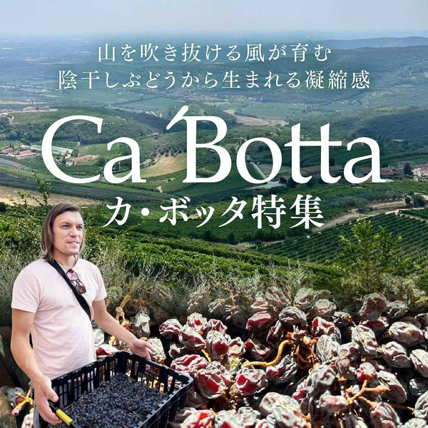陰干しぶどうから生まれる凝縮感！カ・ボッタ特集