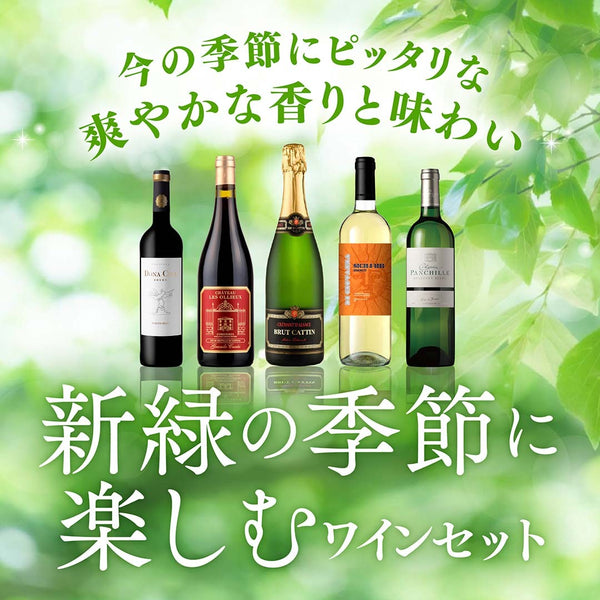 新緑の季節に楽しむワインセット