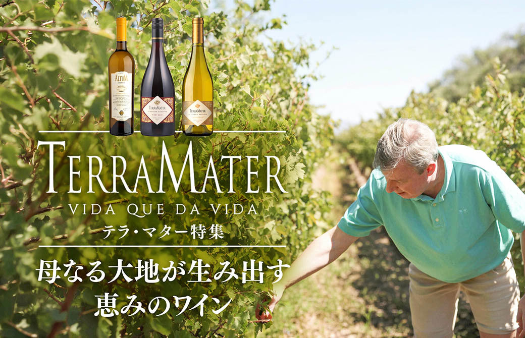 母なる大地が生み出すワイン「テラ・マター」特集