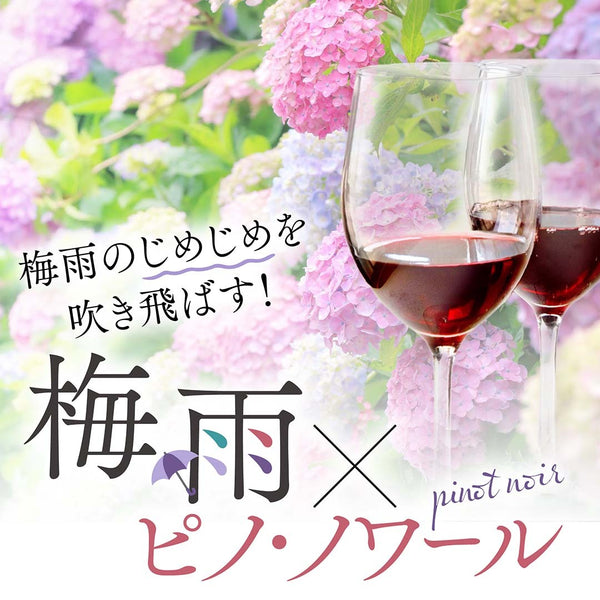 ジメジメを吹き飛ばす！梅雨×ピノ・ノワールのおすすめ