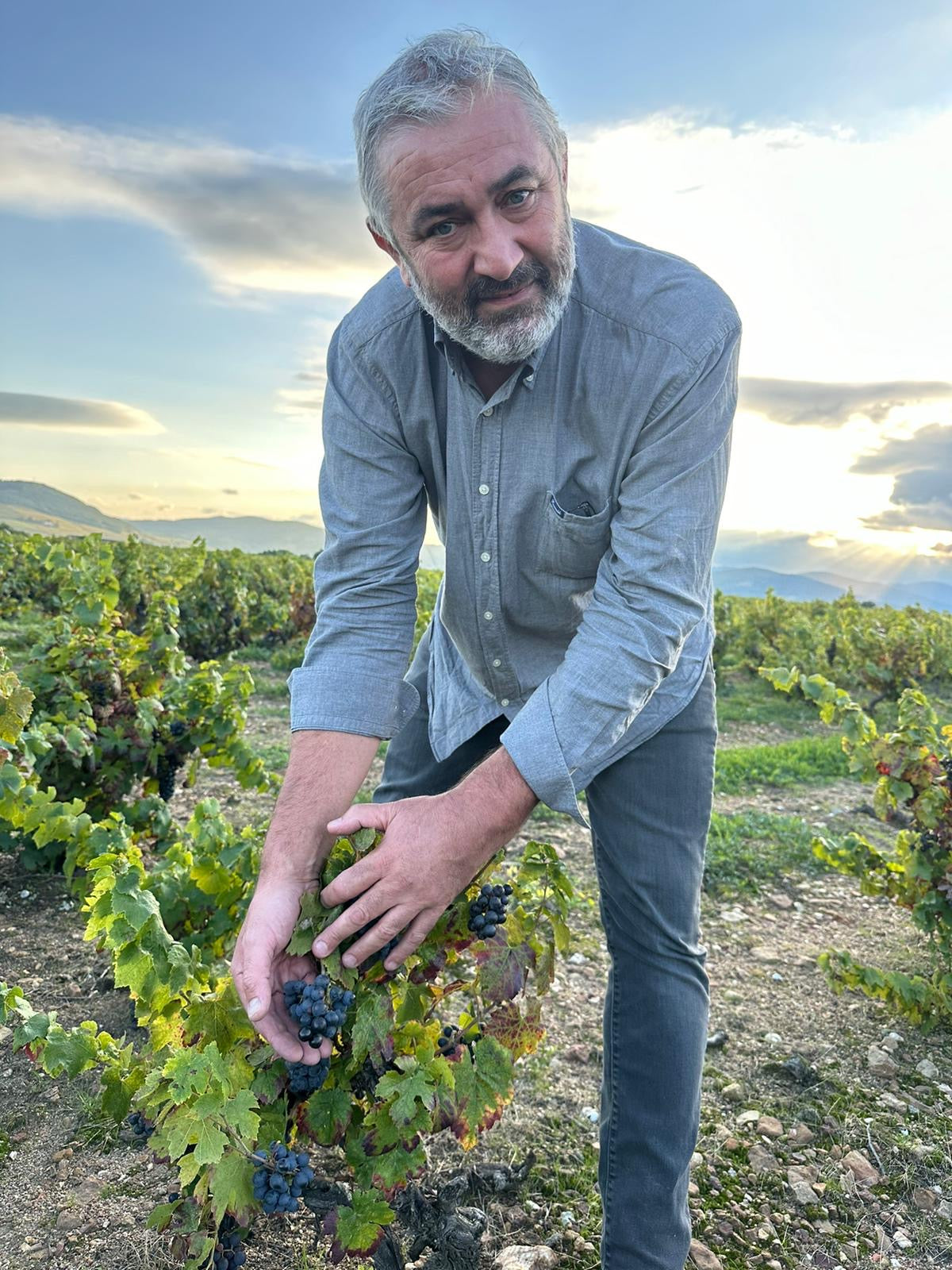 【有楽町店】ギヨさんと楽しむボジョレー・ヌーヴォー2025解禁イベント！