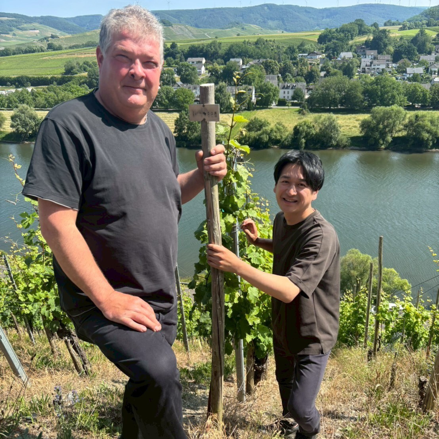 ドイツワイン　モーゼル　ウィリ・ハッグ　リースリング　急勾配な畑