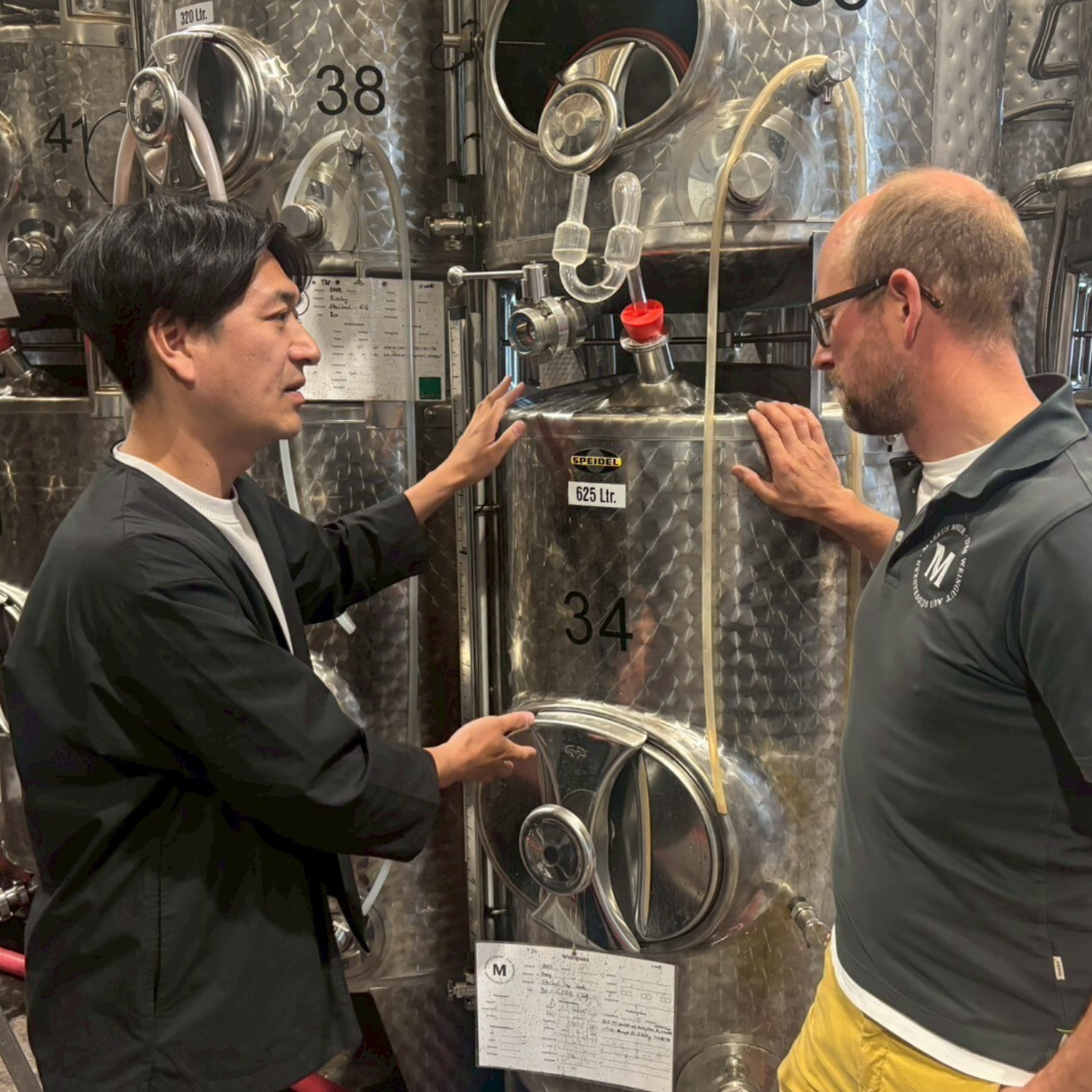 マイアー ドイツワイン ヴィノスやまざき 急勾配 ぶどう畑 自然な造り