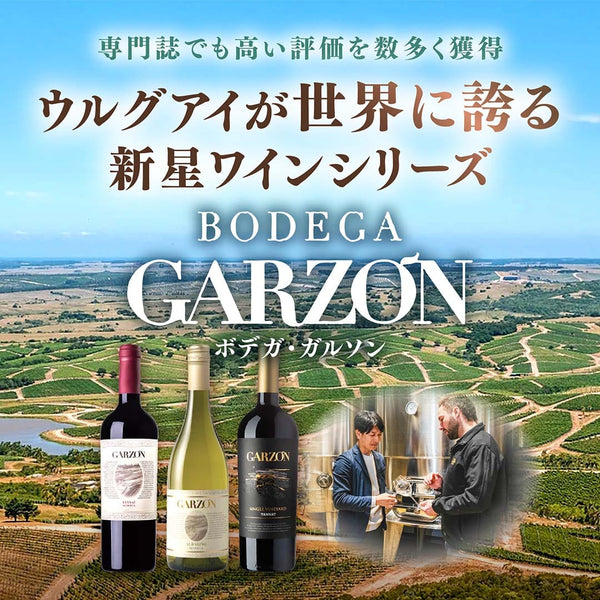 専門誌でも高い評価を数多く獲得　ウルグアイが世界に誇る新星ワイン「ガルソン」　ボデガ・ガルソン　ヴィノスやまざき