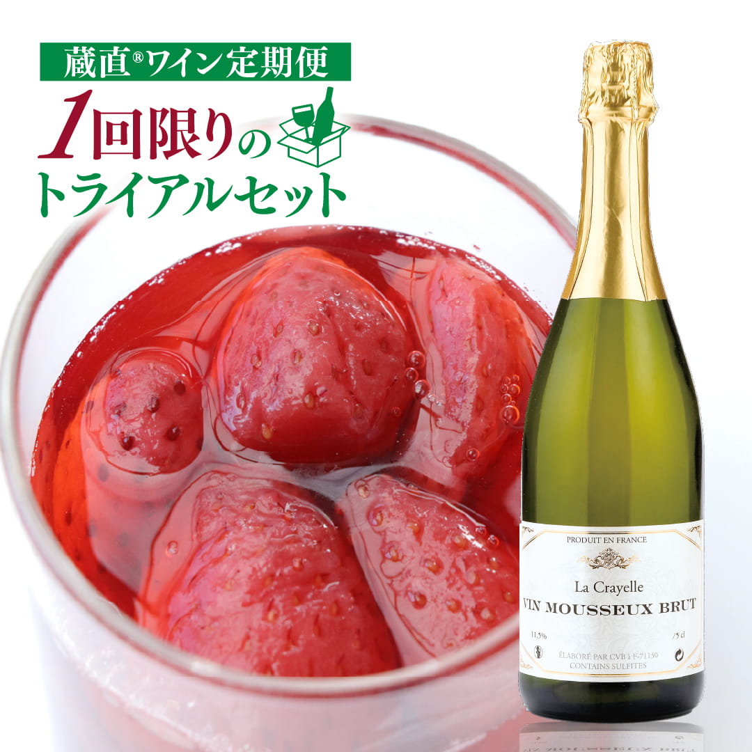 WEB限定】定期便トライアルセット ワインENJOYコース