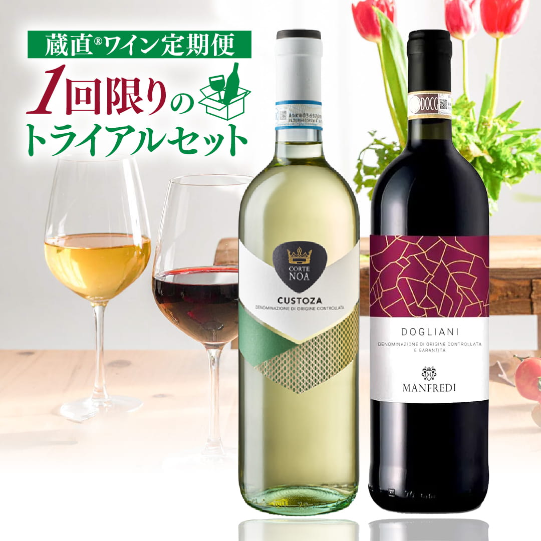 【WEB限定】定期便トライアルセット　うま得赤白ワインコース①