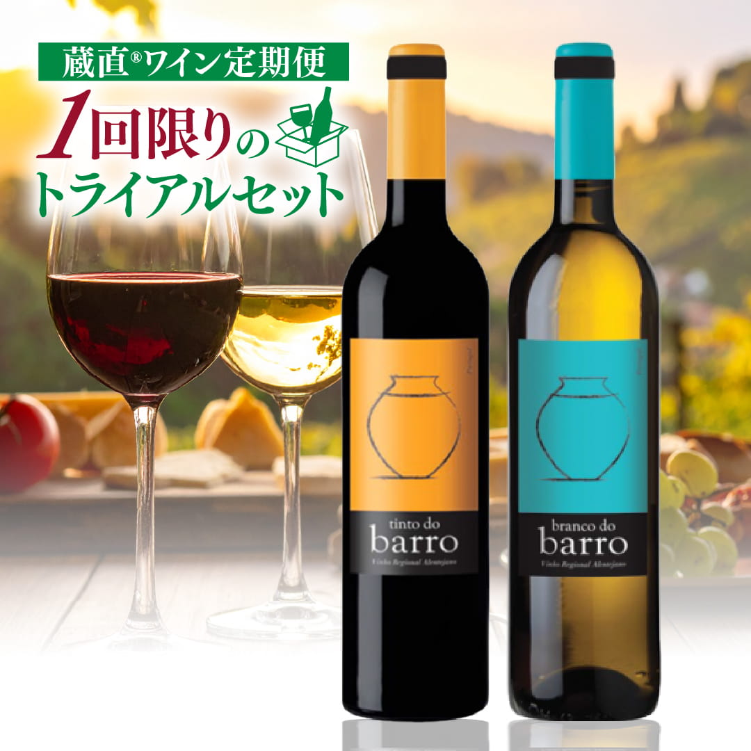 【WEB限定】定期便トライアルセット　うま得赤白ワインコース②