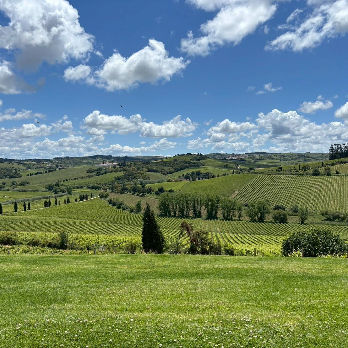 ブルート エスプマンテ ロゼ