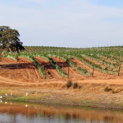 ペルミッソ アレンテージョ