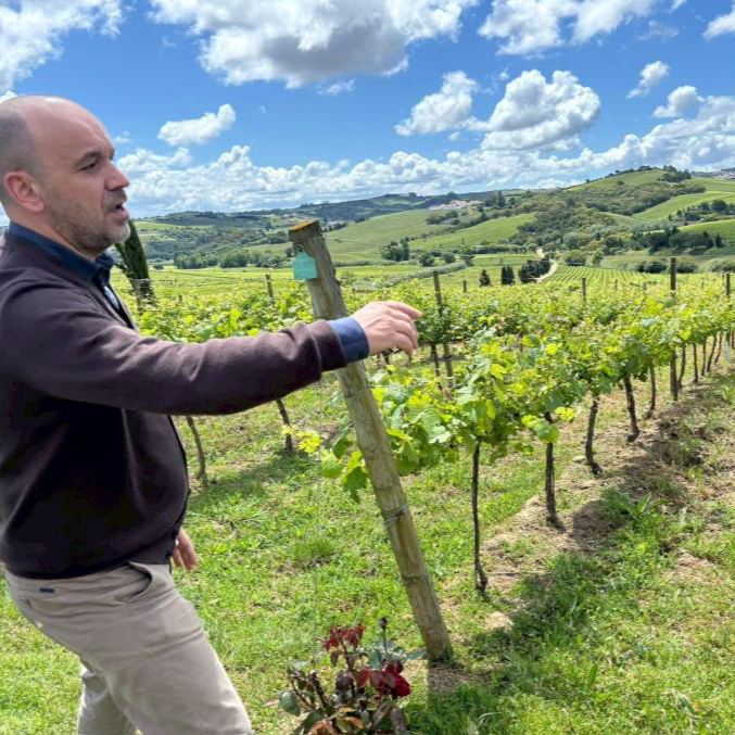 ペルミッソ アレンテージョ