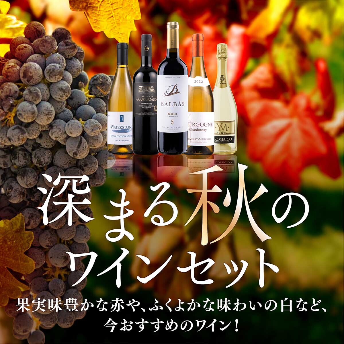 深まる秋のワインセット 果実味豊かな赤やふくよかな味わいの白など、今おすすめのワイン！