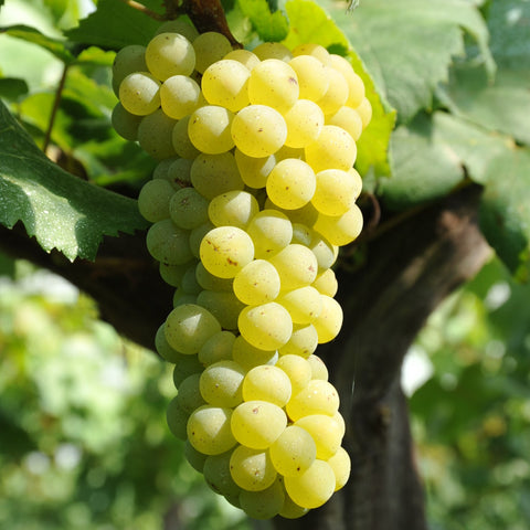 FAQの項目説明画像