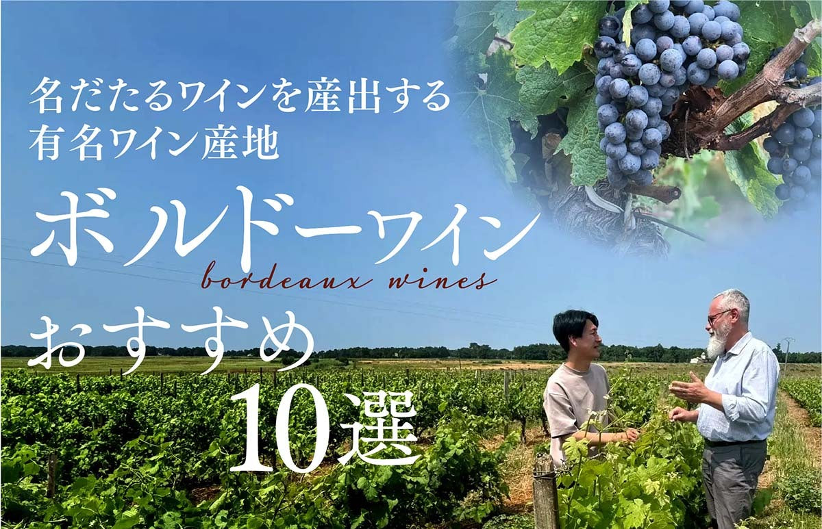 メインバナー