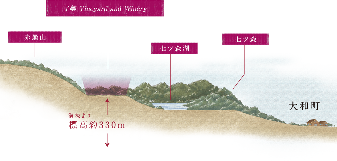 【有楽町店】蔵直®日本ワイン会　第3回「了美ヴィンヤード＆ワイナリー」