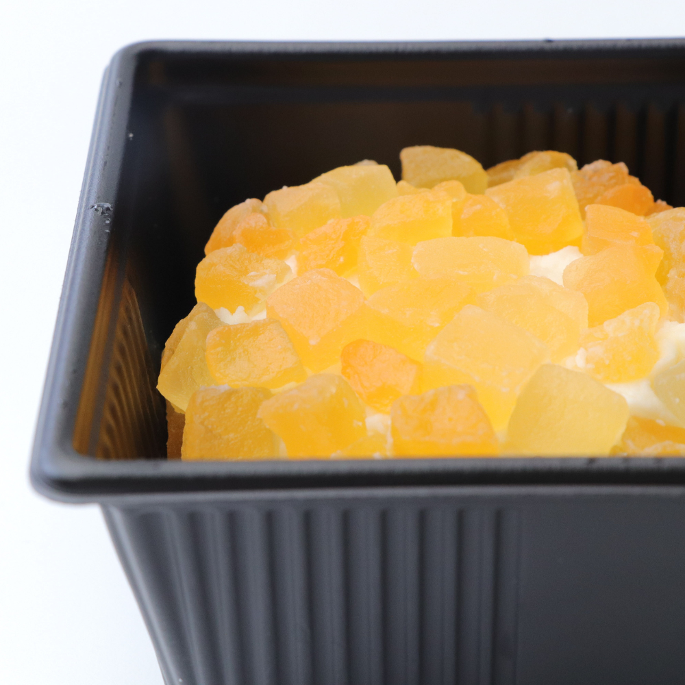 雪花【sekka】メロン　チーズ　日本　北海道　ニセコチーズ工房　