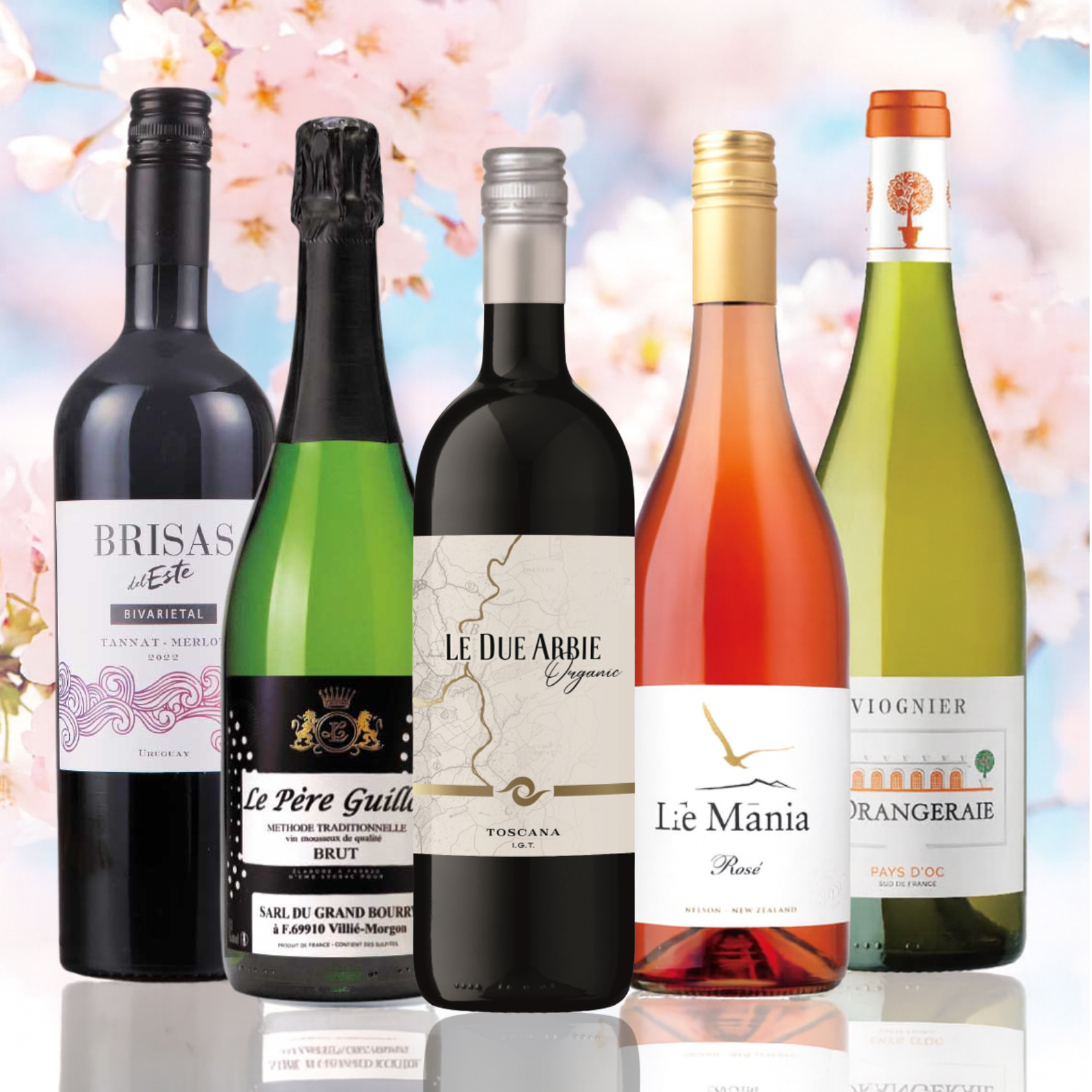 【WEB限定】春気分ミックスワインセット