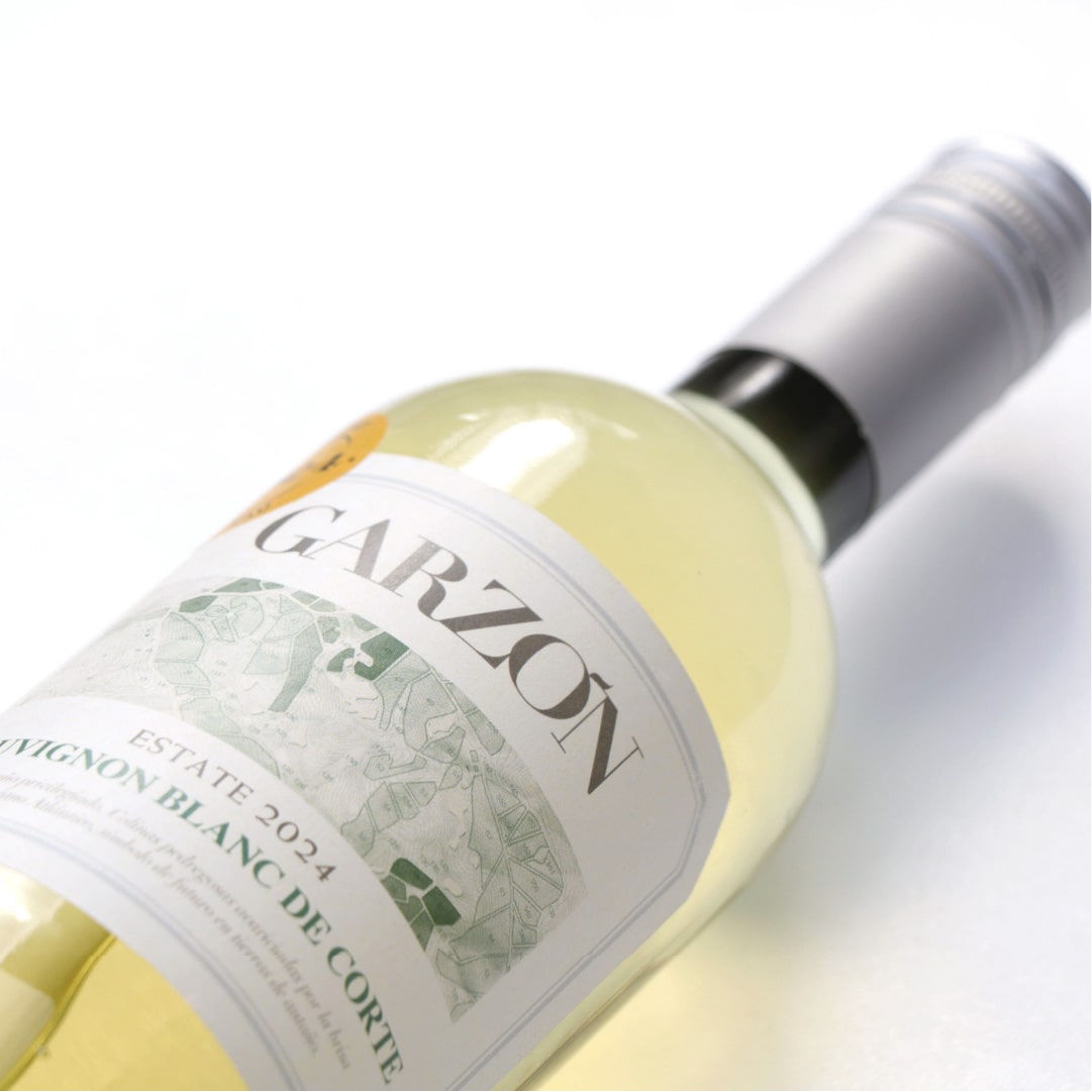 ガルソン・ヌーヴォー白 2025