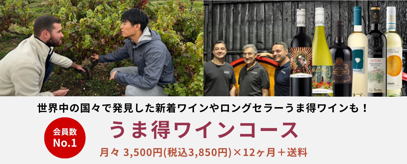 コース説明画像