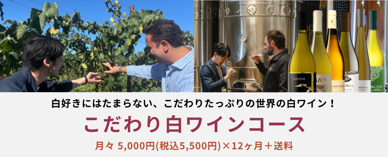 コース説明画像