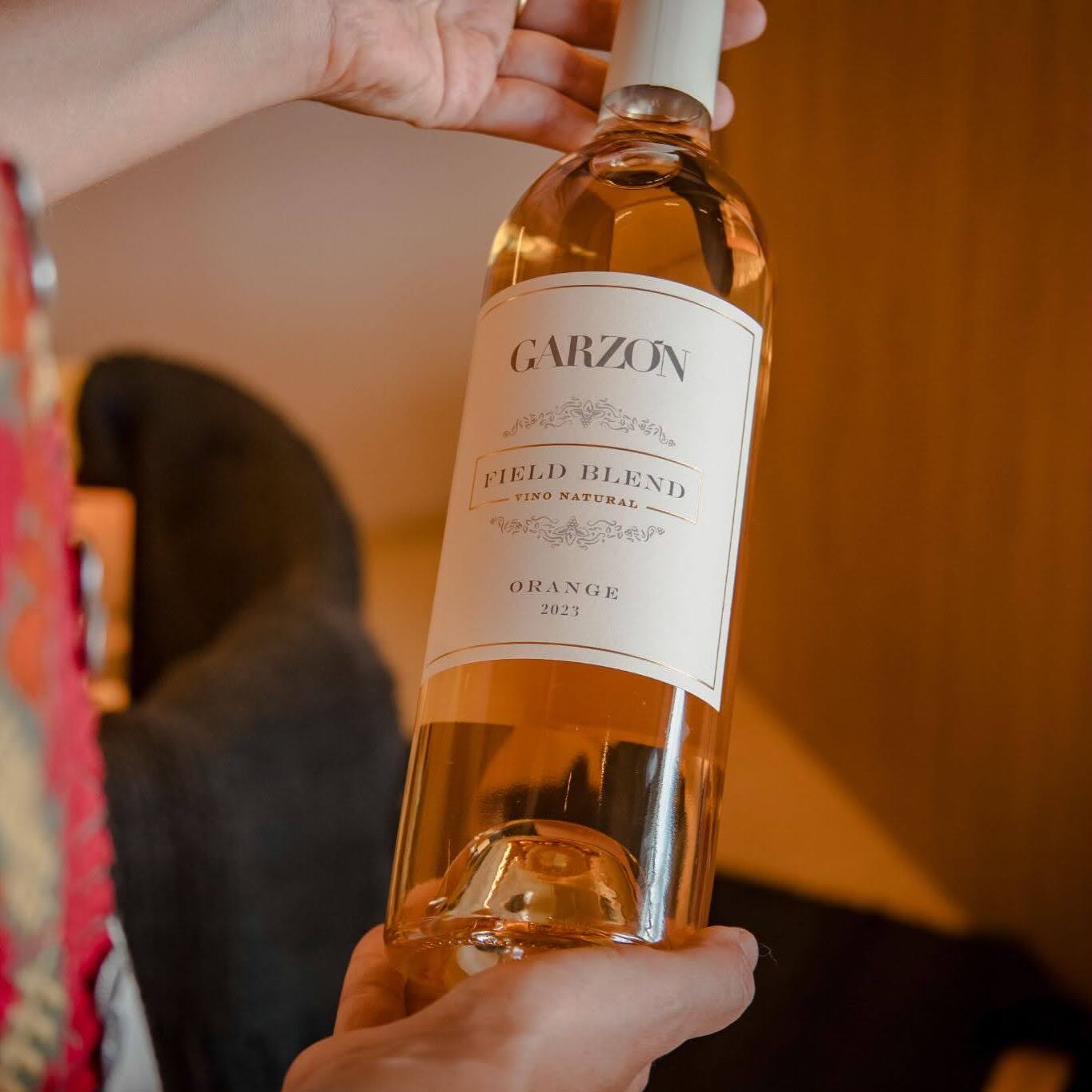 【WEB限定】ガルソンを堪能するセット 第2弾