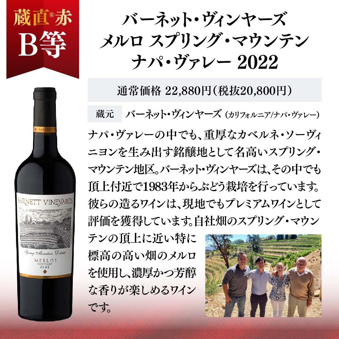 【WEB限定】世界のグランヴァン赤ワインくじ【要クール便】