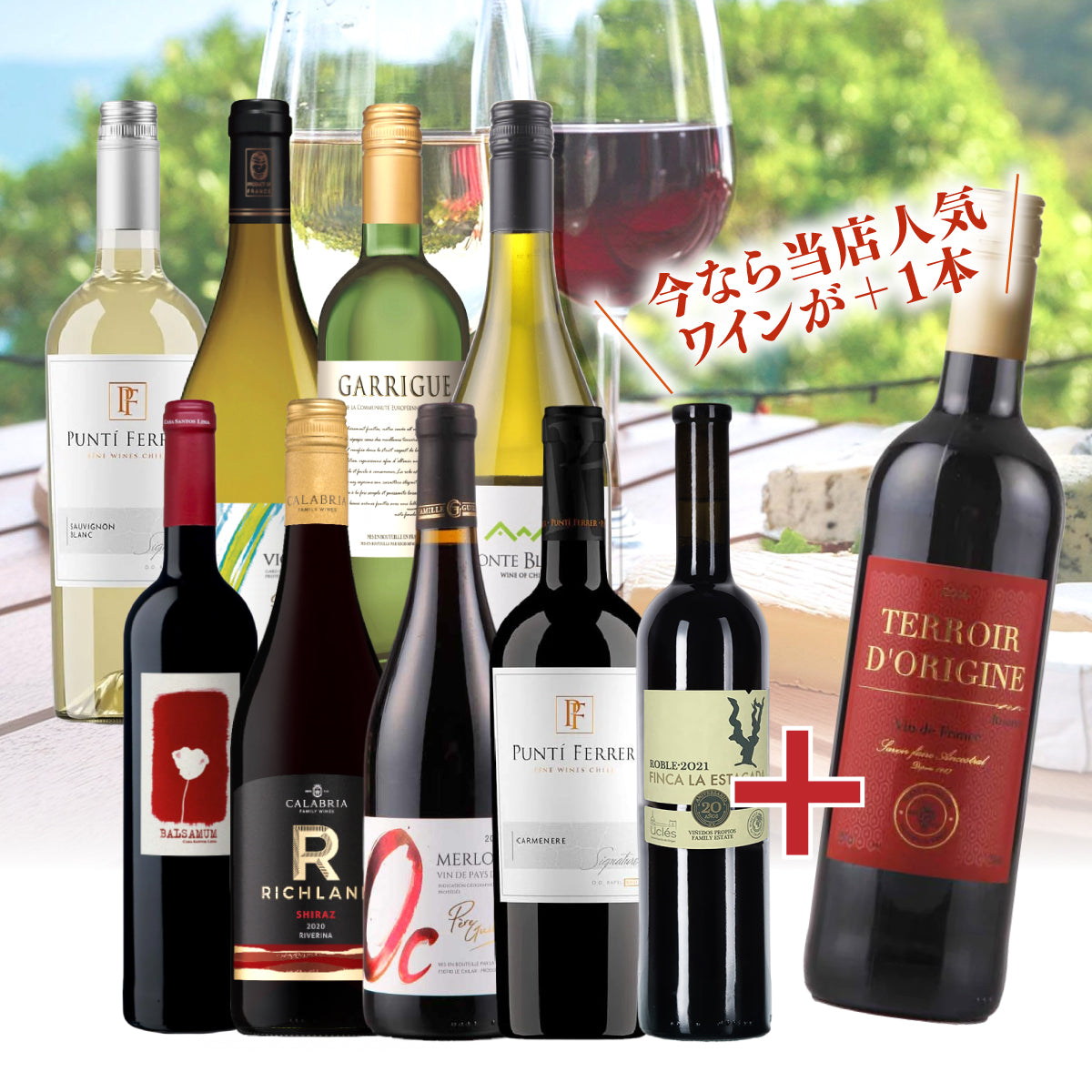 【WEB限定】10月ワインバスケット うま得エンジョイワイン 9本セット＋1本プレゼント