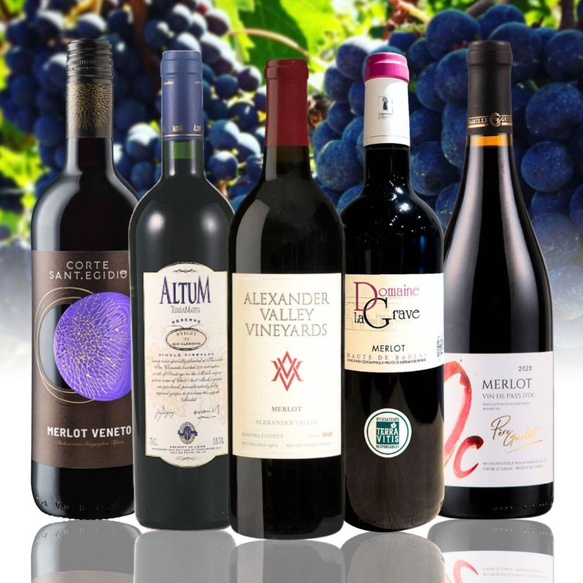 メルロ飲み比べ赤ワイン5本セット カリフォルニア・チリ・南フランスのメルロを楽しむ アレクサンダー・ヴァレー・ヴィンヤーズやアルタム入り赤ワインセット