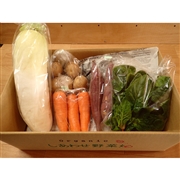 しあわせ野菜畑のオーガニック野菜BOX【お届けは5月31日（日）以降予定】
